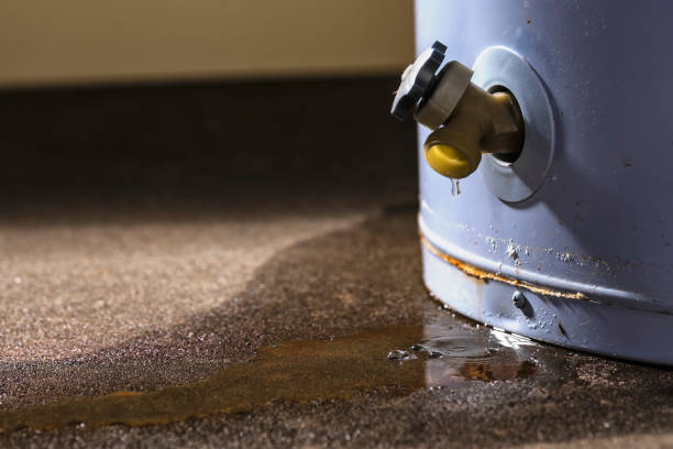 Best Residential water damage restoration  in Lyles, TN