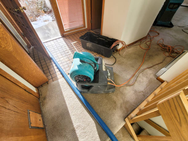 Best Water damage restoration near me  in Lyles, TN