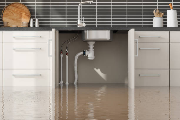 Best Water damage restoration experts  in Lyles, TN