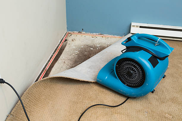 Best Ceiling water damage repair  in Lyles, TN